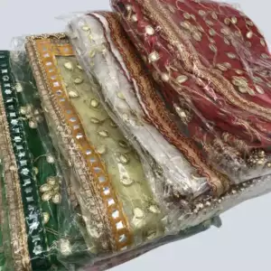 Chunni 2 Meter Net GOTA Patti